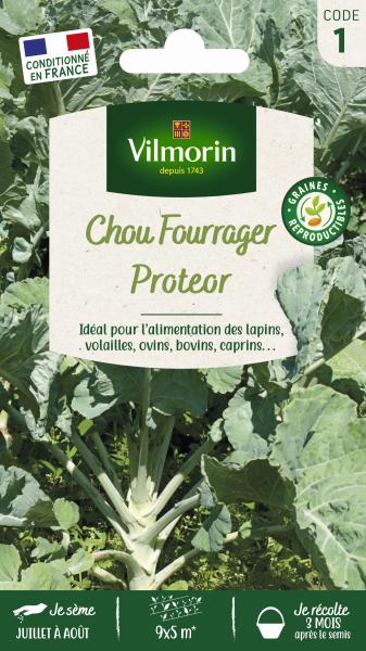 Potagères - Chou Fourrager Protéor (Obtention I.N.R.A.) - PACKAGING_RECTO
